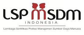 LSP MSDM